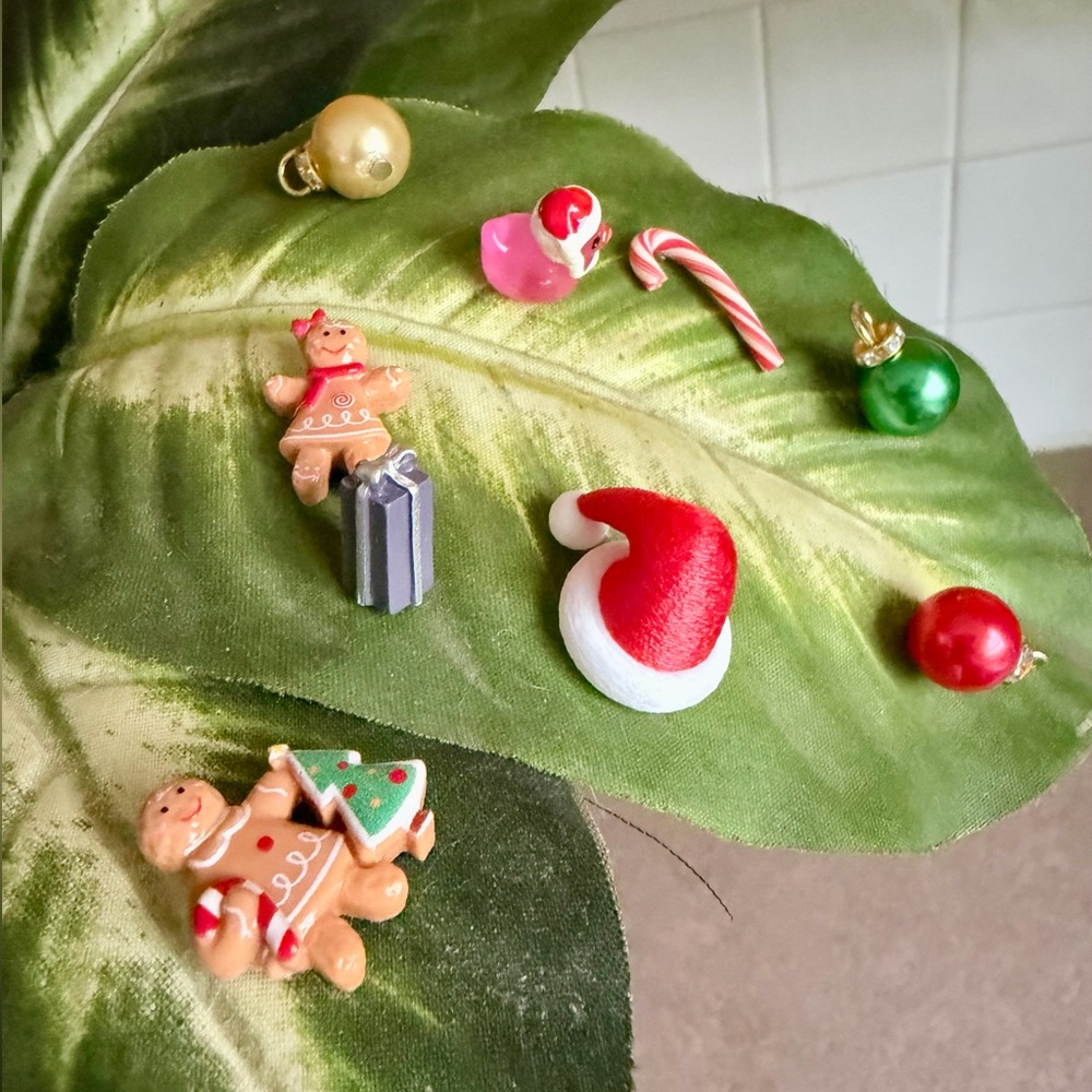 🍃10 pack CHRISTMAS PLANT MAGNETS!🍃